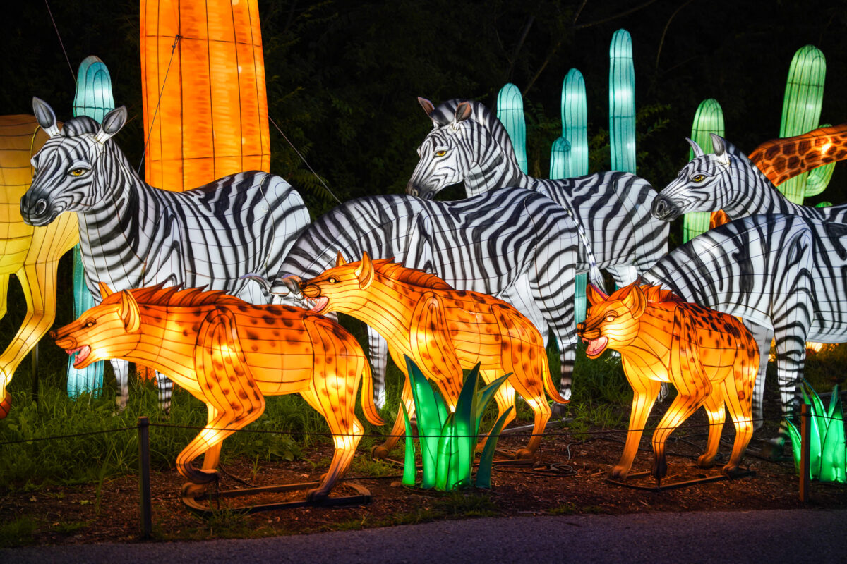 Serengeti Lanterns
