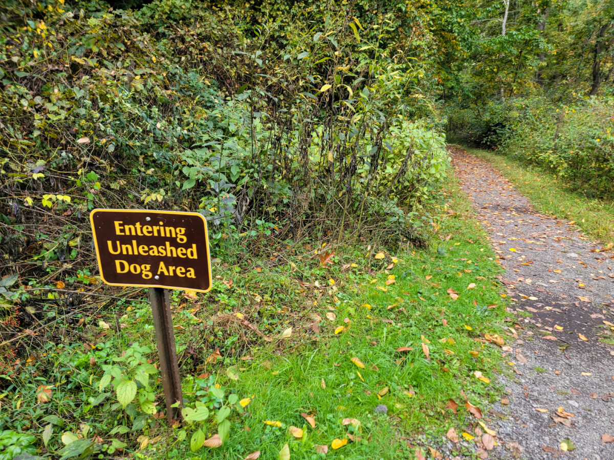 Eliza Fox Trail is Off Leash for Dogs in Some Sections