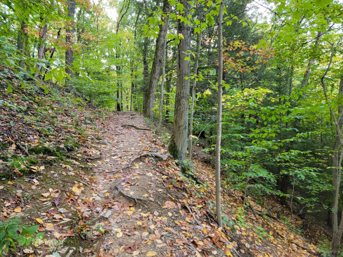 Hardie Valley Overlook