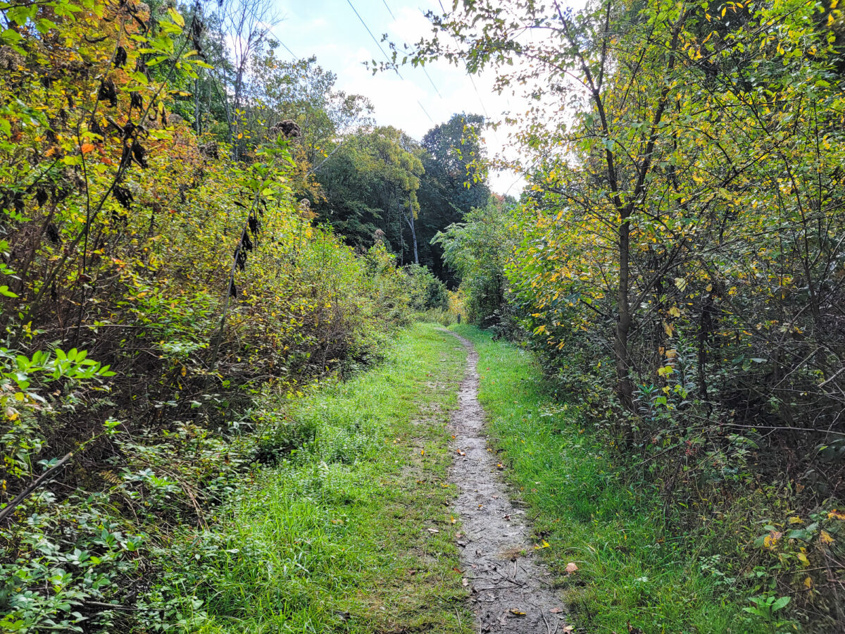 Eliza Fox Trail