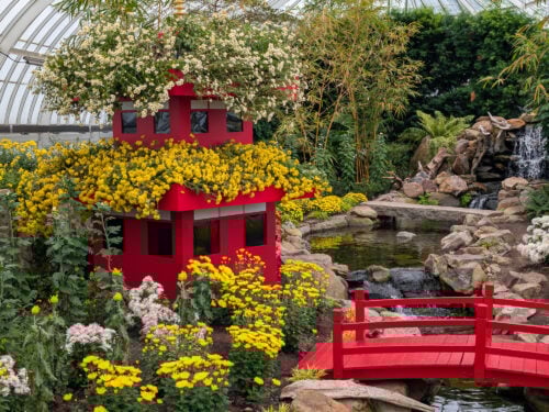 Phipps Conservatory’s Fall Flower Show – Visions of Japan