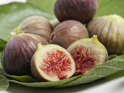 6 Unique Fruits You Can Grow in Pittsburgh