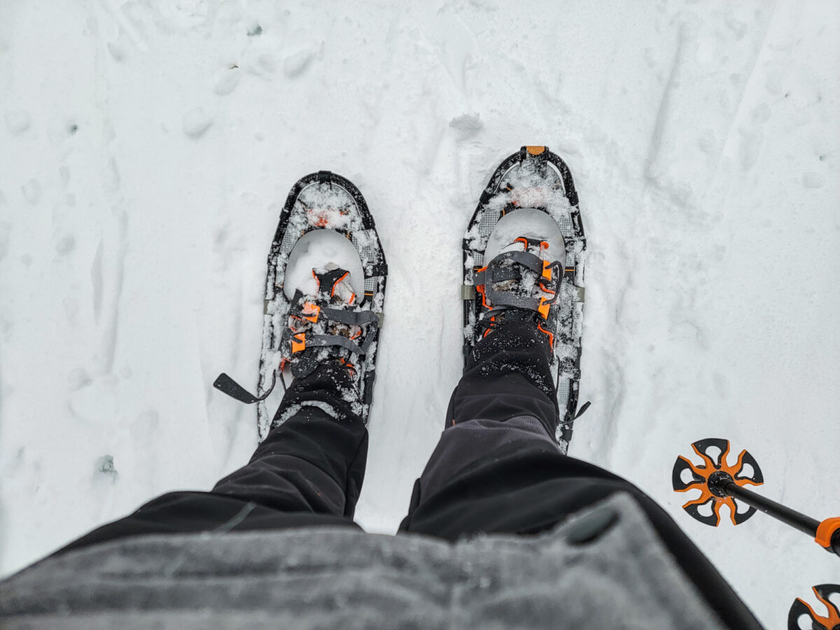 Snowshoeing in the Laurel Highlands