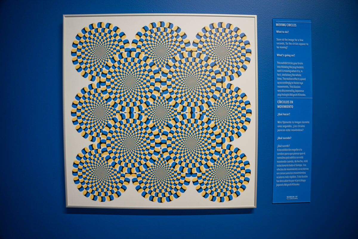 Wall Art Illusions at the Museum of Illusions