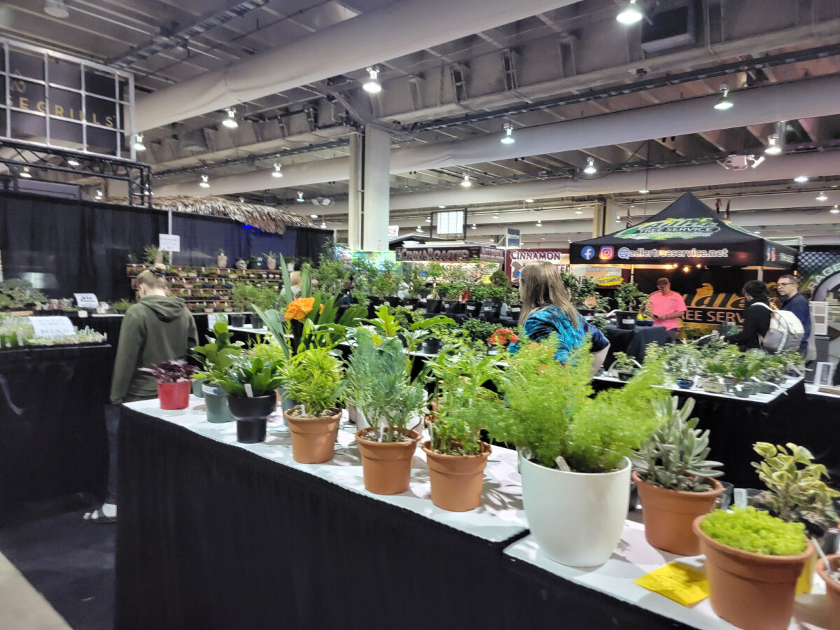 Plant Vendor at Pittsburgh Home and Garden Show