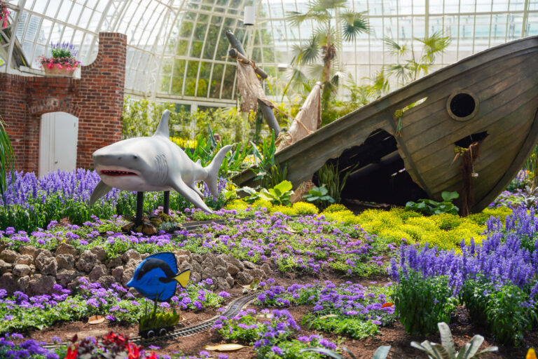 Phipps 2000px 07 768x512