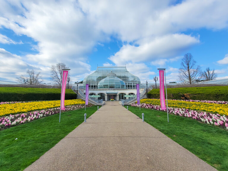 Phipps Spring 2000px 12 768x576