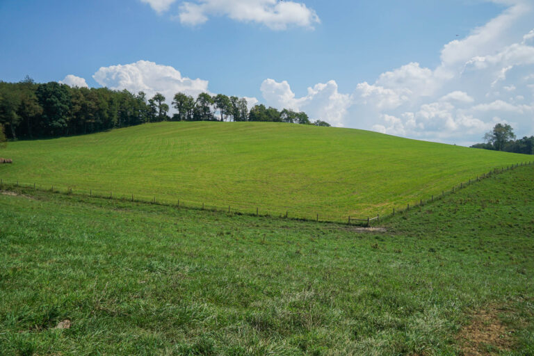 Birch Creek Farm tour 2000px 19 768x512