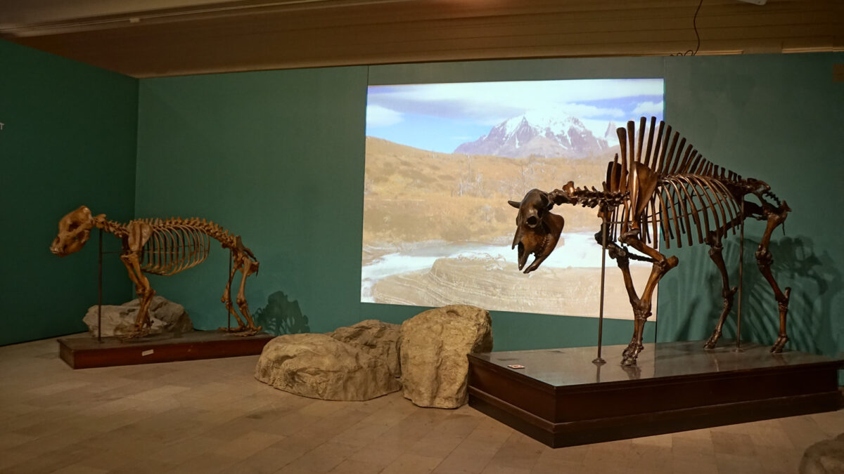 Carnegie Museum of Natural History - Discover the Burgh
