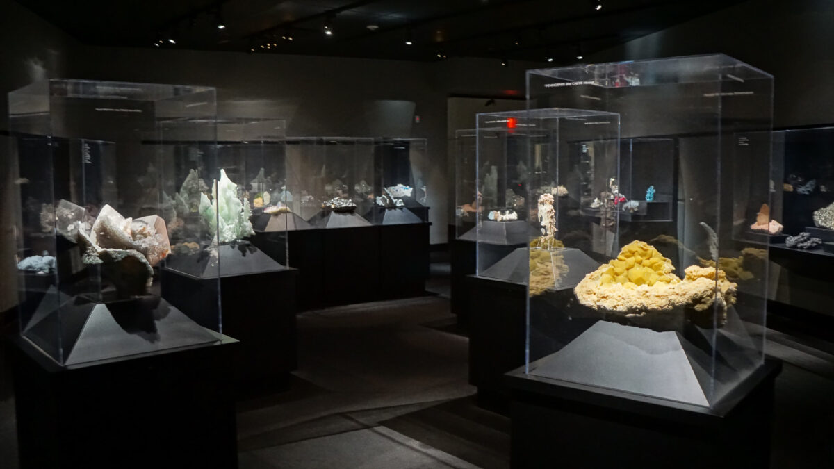 Carnegie Museum of Natural History - Discover the Burgh