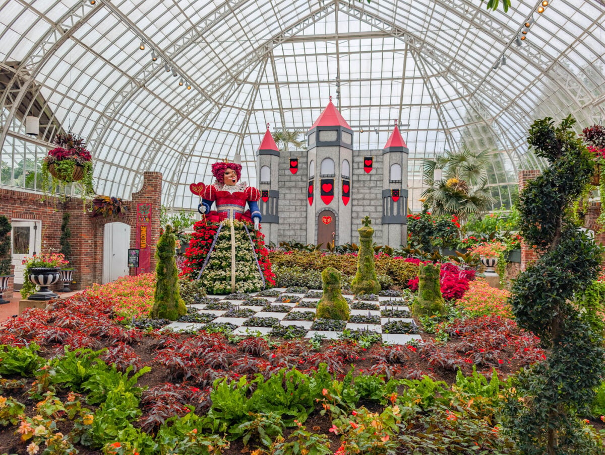 South Conservatory South Conservatory