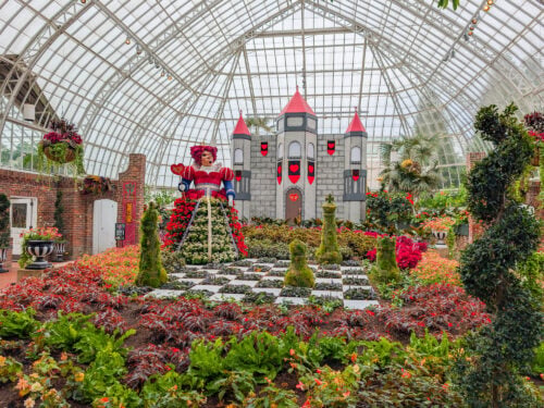 Phipps Summer Flower Show – Alice's Adventures in Wonderland