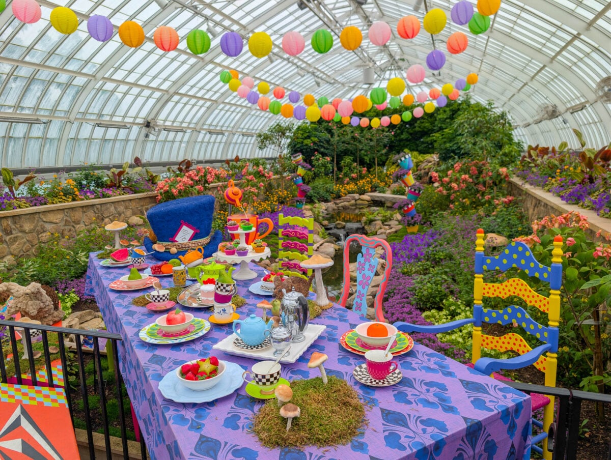 East Room Mad Hatter Tea Party East Room Mad Hatter Tea Party