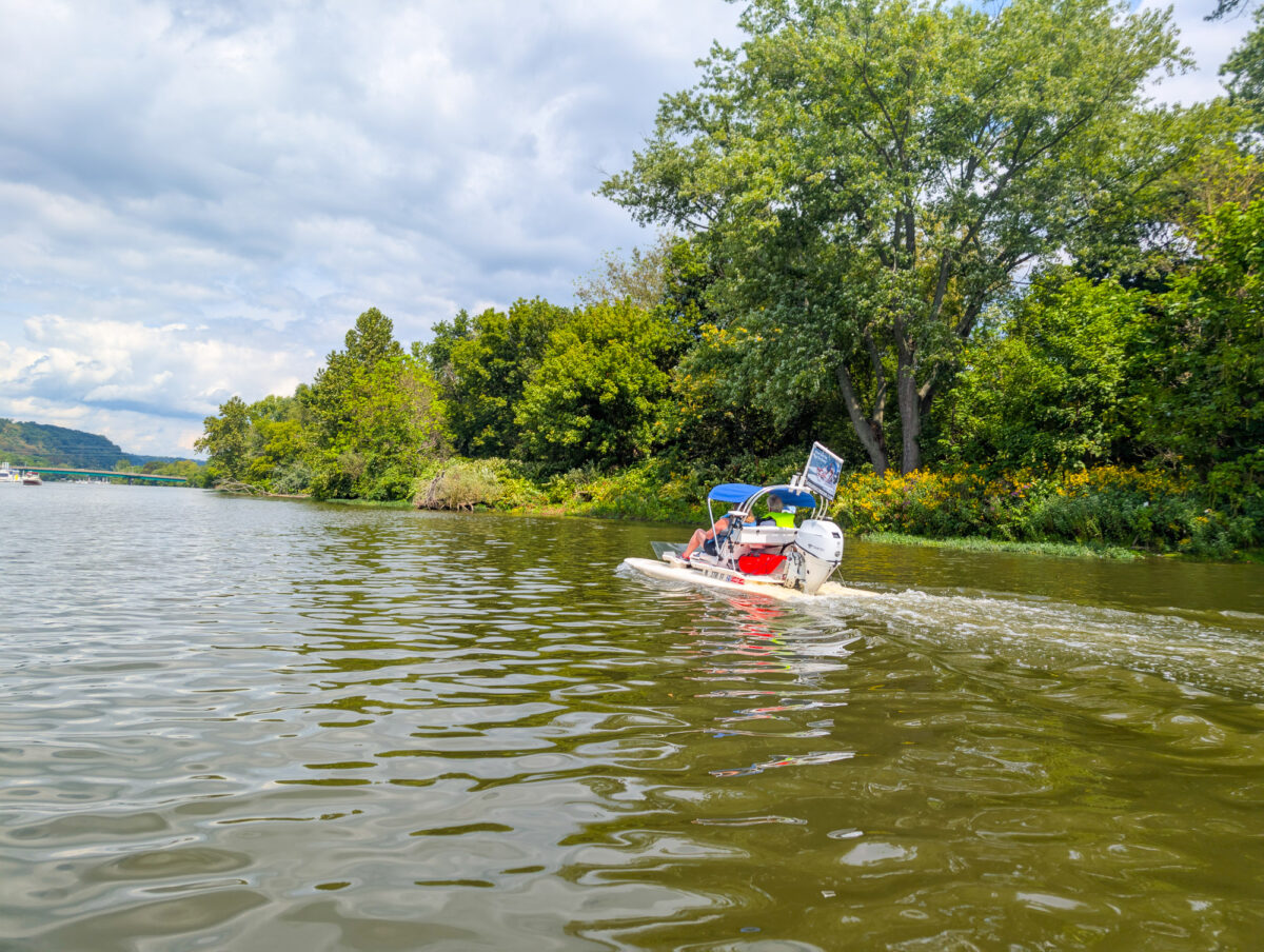 Cat Boat Excursions Cat Boat Excursions
