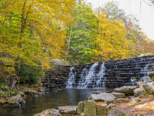 7 of the Best Places to View Fall Colors in Pittsburgh