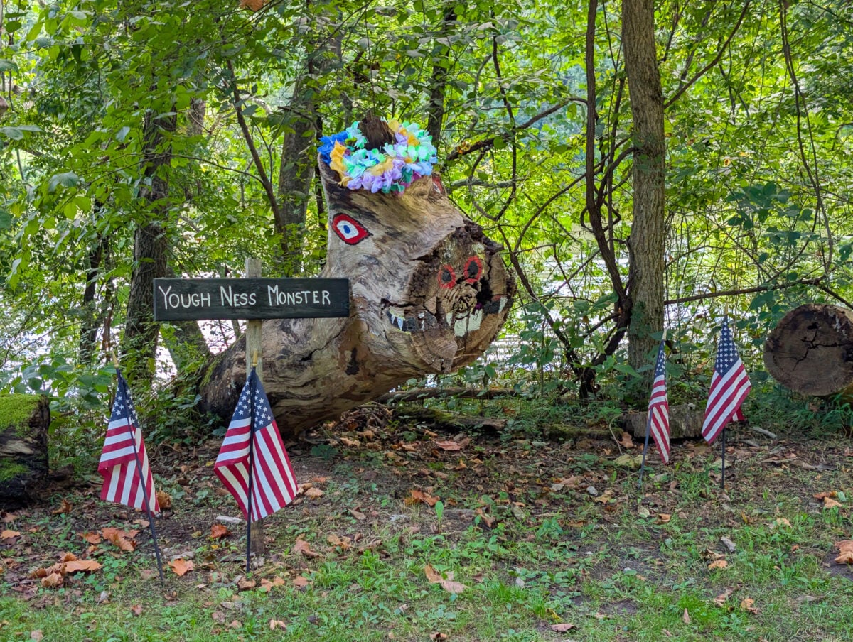 Yough Ness Monster Sighting Yough Ness Monster Sighting