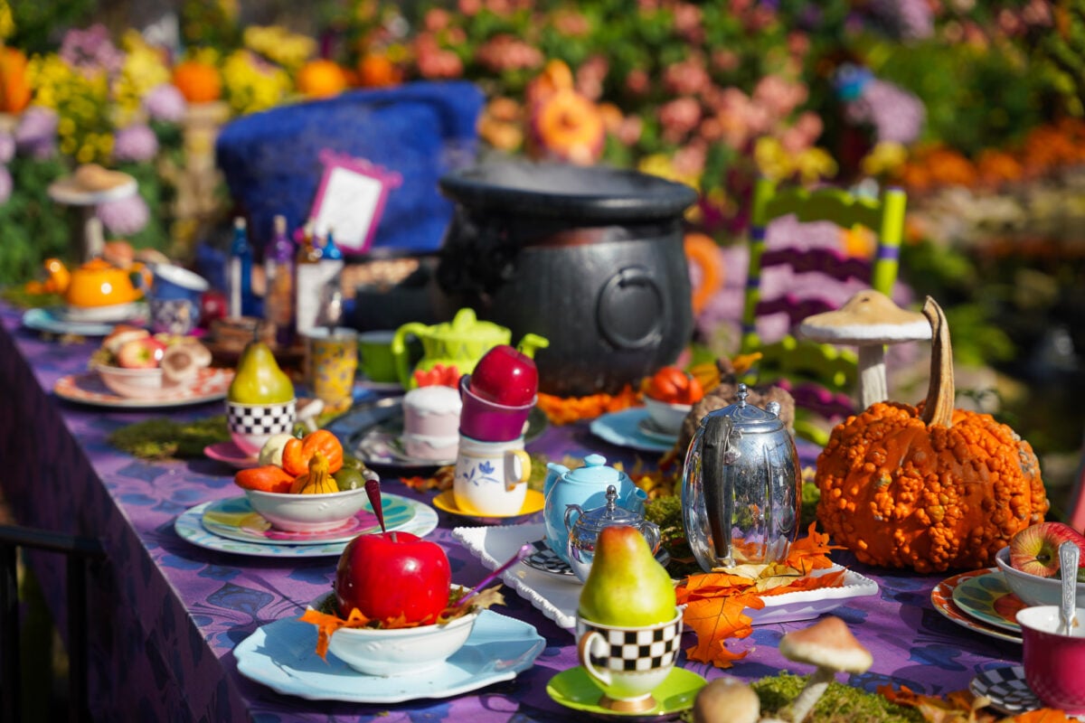 Mad Hatter's Tea Party Mad Hatter's Tea Party