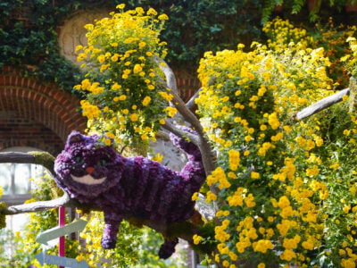 Phipps Conservatory’s Fall Flower Show – Alice’s Adventures in Autumn