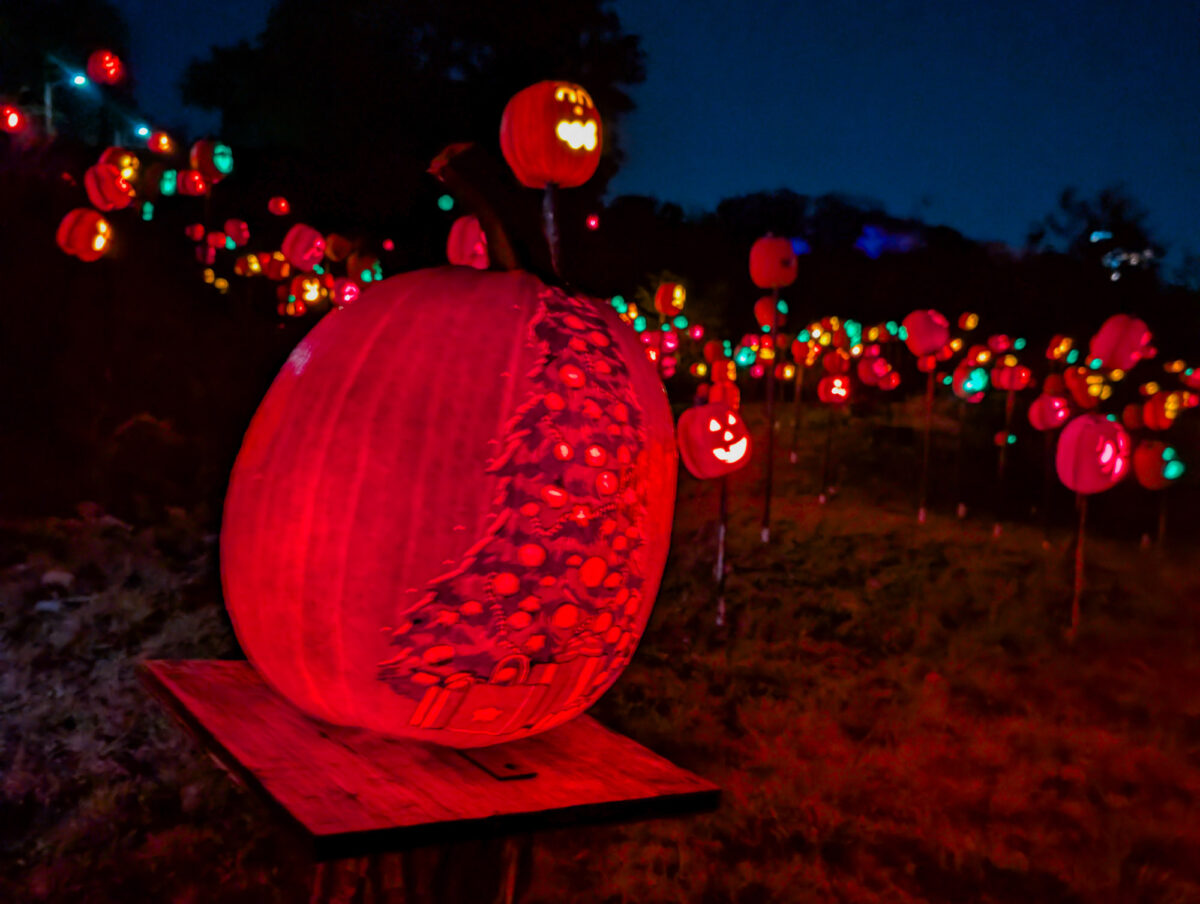 Carved Pumpkins Carved Pumpkins