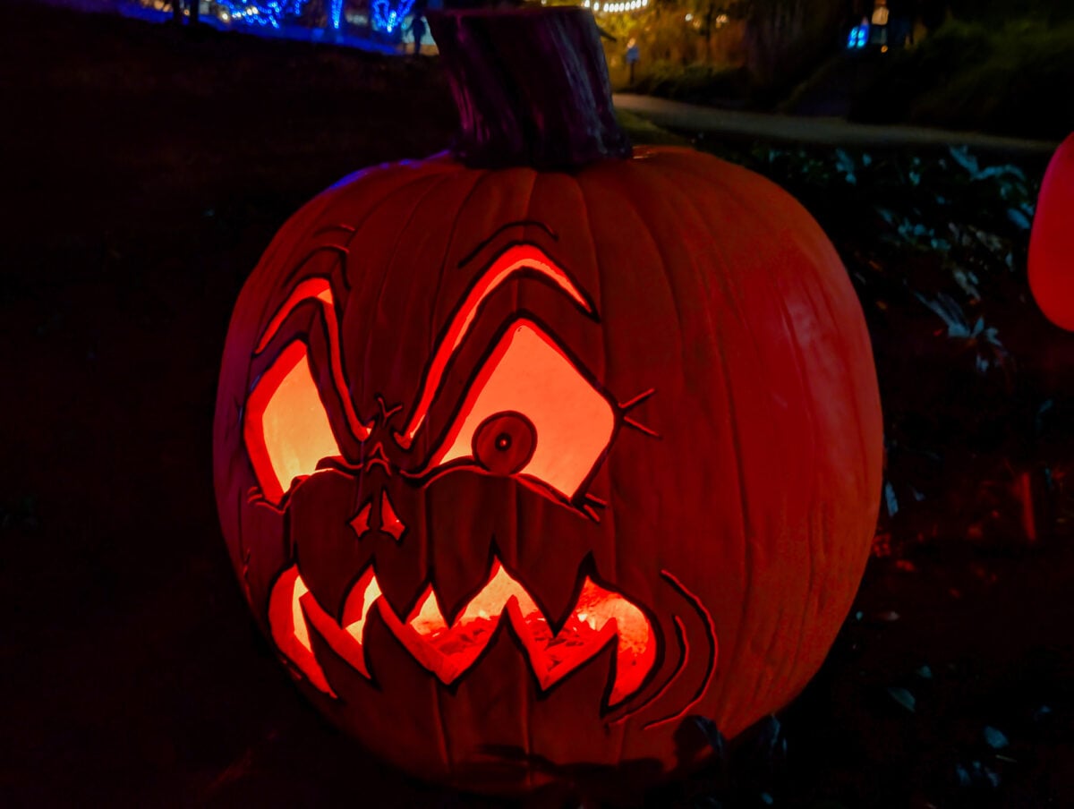 Jack O'Lanterns at the Pittsburgh Zoo Jack O'Lanterns at the Pittsburgh Zoo