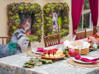 Phipps Conservatory's Winter Flower Show – Holiday Magic