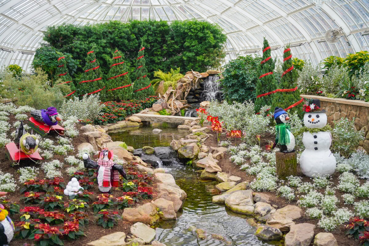 Phipps Conservatory Phipps Conservatory