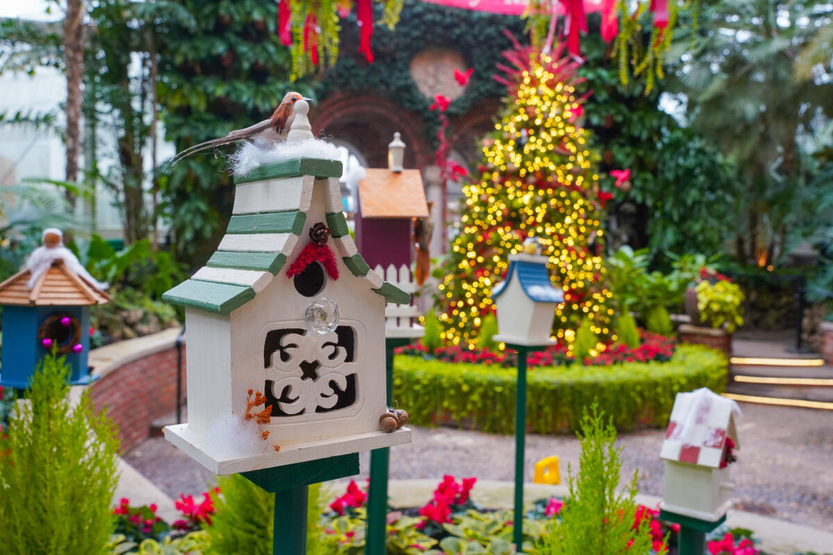 The Palm Court The Palm Court