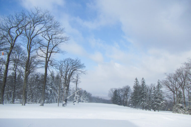 Laurel Mountain 2000px 5 768x511