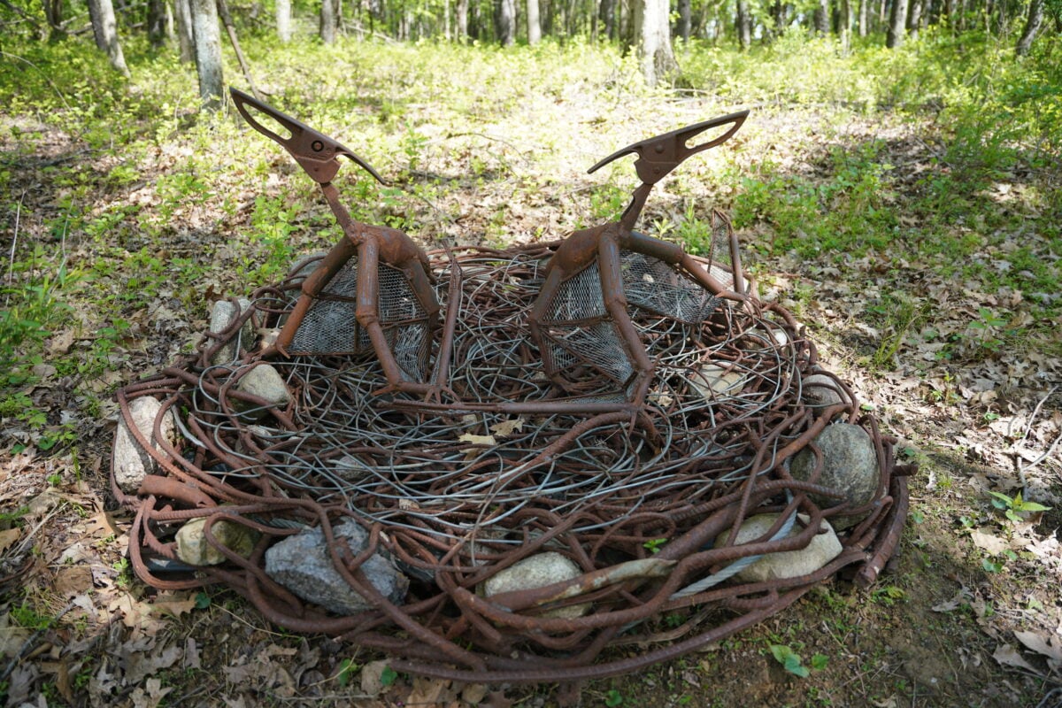 Pterodactyl Scraposaurs Pterodactyl Scraposaurs