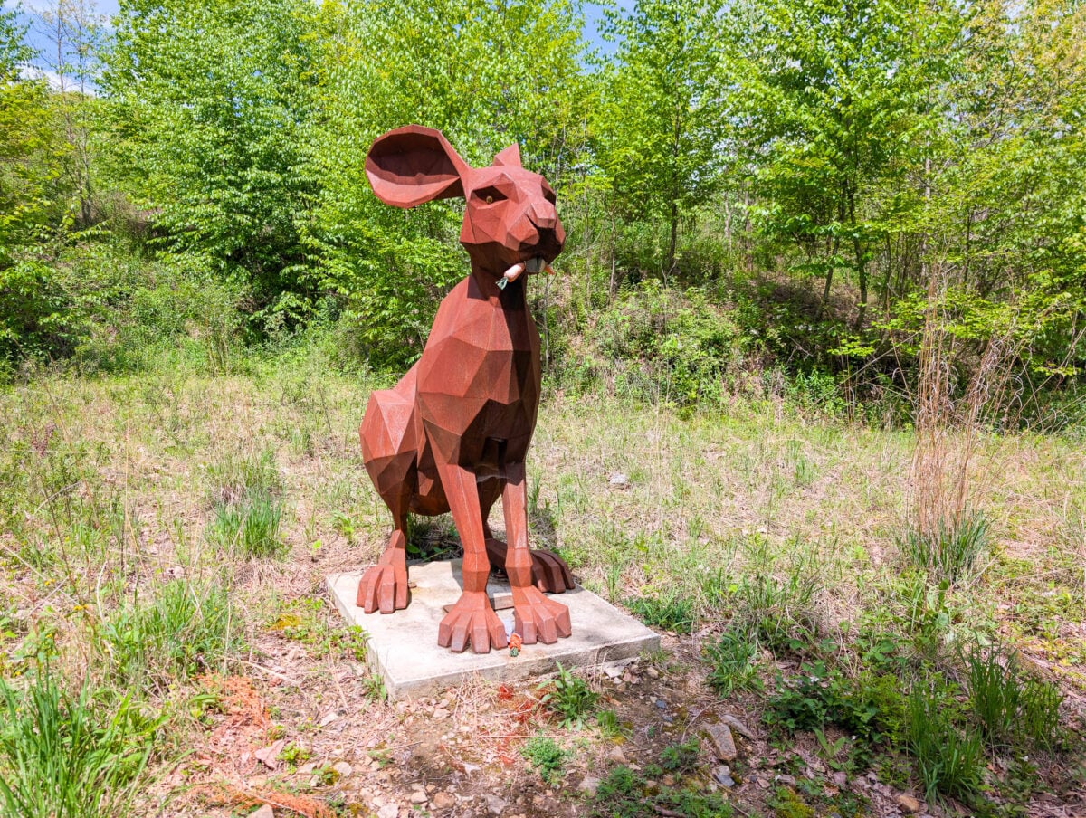 Animal Sculptures