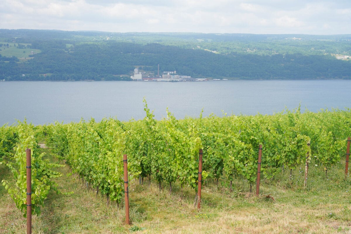 Finger Lakes