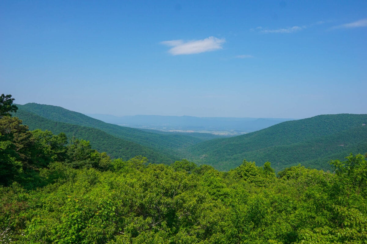 Shenandoah